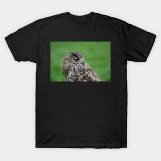 Turkmen (turkmenistan) Owl T-Shirt